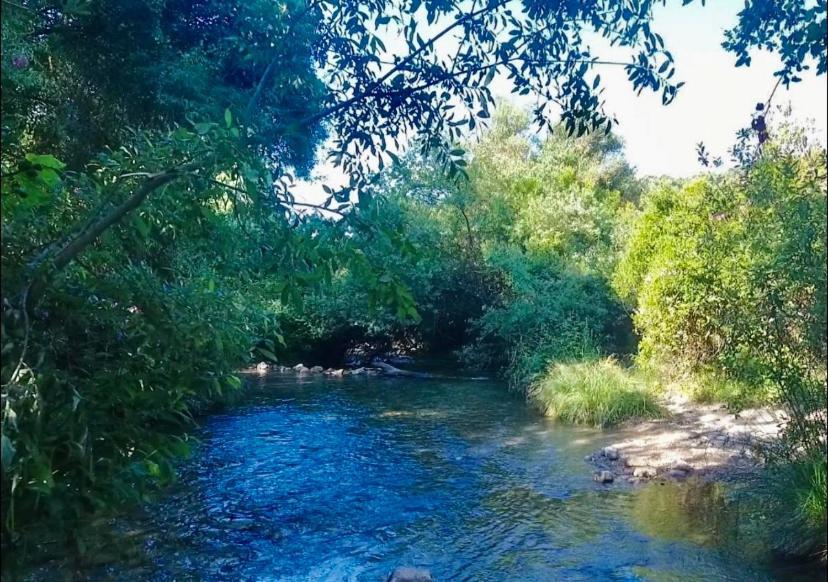 La Buhardilla De Torrecillas 埃尔博斯克 外观 照片